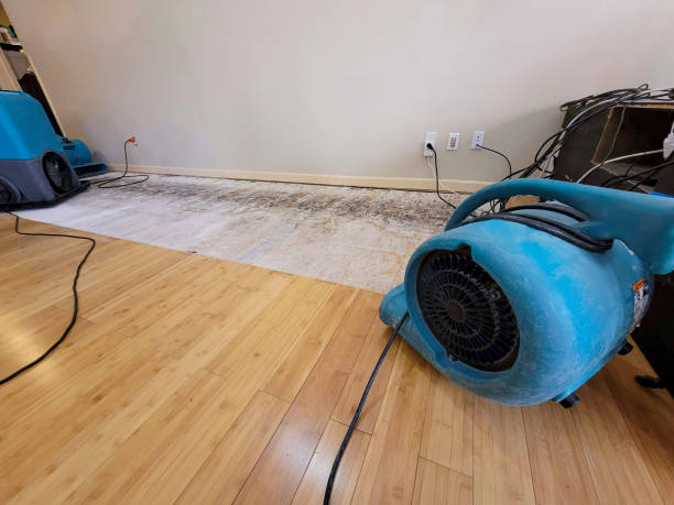 Professional Water Damage Repair technician working in Kinzers, PA